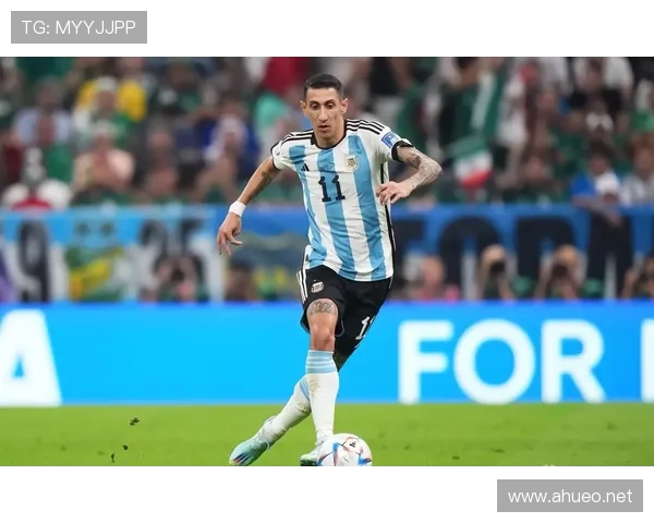 迪马利亚2022世界杯决赛破门：锁定冠军的关键一环